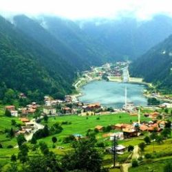 Doğu Karadeniz'de konut alımı düştü