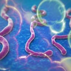 Çin Ebola'ya karşı kıyafet geliştirdi
