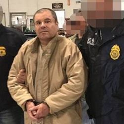 ABD El Chapo'nun 14 milyar dolarına el koyacak
