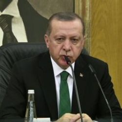 Erdoğan'a elinizde referandumla ilgili anket var mı sorusu