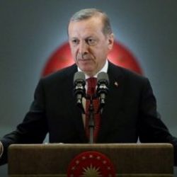 Erdoğan Trump'ın CNN muhabirini fırçalamasına değindi