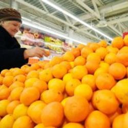 Mandalina kabuğundan yağ üretilecek
