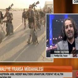 Fransa'nın Mali senaryosunun perde arkası