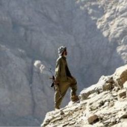 Hakkari'de terör operasyonu: 2 kişiye gözaltı