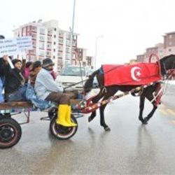CHP'li göstericiler atın üzerine Türk bayrağı örttü