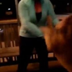 Aslan-köpek karışımı hayvan türü - Video