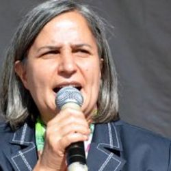 Gültan Kışanak: Bayrak ortak değerimiz