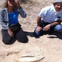 Kanada'da 110 milyon yıllık fosil bulundu