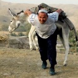 Gücünü korumak için sırtında eşek taşıyor