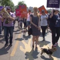 Hayvanseverler bando eşliğinde köpekleriyle yürüdü