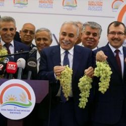 Bakan Fakıbaba'dan üzüm suyu çıkışı
