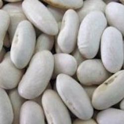 Aralık ayı zam şampiyonu: Kuru fasulye