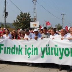 CHP'nin 'Fındık İçin Yürüyoruz' etkinliği