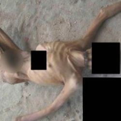 Suriye'den işkence fotoğrafları hakkında ilk açıklama