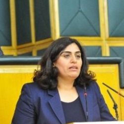 HDP cumhurbaşkanı adayını açıklıyor