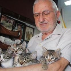 72 yaşındaki terzi, 25 sokak kedisine bakıyor