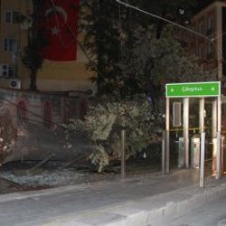 Fatih'te ağaç devrildi: 3 yaralı