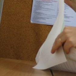 Genar'ın referandum anketi