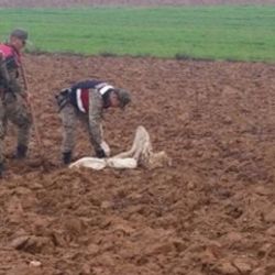 Hatay'da toprağa gömülü silahlar bulundu