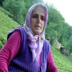 Havva Bir: Anons dahi yapmadan bizi copladılar