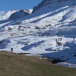 Van'da lise öğrencisi 3 kız kayboldu