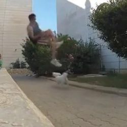 Takla attı küçük köpeği ezdi İZLE
