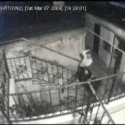 İmamdan hırsızlara meydan dayağı