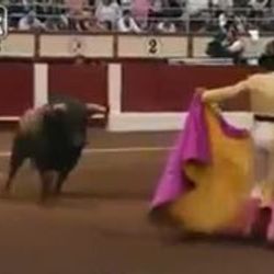 Matador boğayı tuş etti