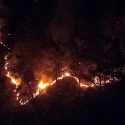 Karabük'te orman yangını