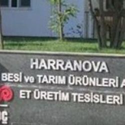 Koç Holding besicilikten çekildi