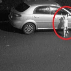 Sahibi tarafından terk edilen köpek yeni evine kavuştu