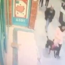 Marketin önündeki kedi ortalığı birbirine kattı