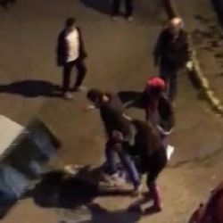 Hayvan kulübelerini tekmeleyerek kaldırdı