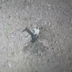 Elazığ'da jandarmaya ait drone'u taşladı