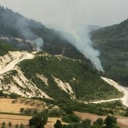 Suriye sınırında orman yangını