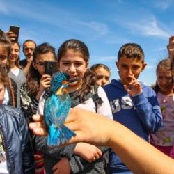 Öğrenciler kuş bilimini doğada öğreniyor