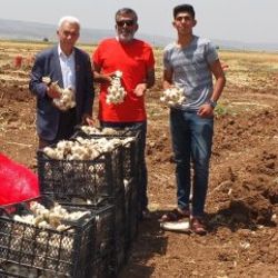 Sarımsaklarını şehit ve gazi ailelerine bağışladı