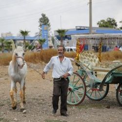 Antalya’da fayton dönemi sona erdi