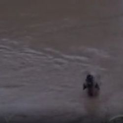 Yozgat'taki sel felaketinde 600 tavuk telef oldu