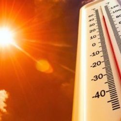 Hindistan'da sıcak hava nedeniyle 184 kişi öldü