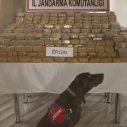 Ağrı'da 585 kilogram eroin ele geçirildi