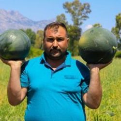 Antalya'da çiftçinin 500 ton karpuzu elinde kaldı