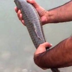 Adıyaman'da kaçak avlanmaya geçit yok