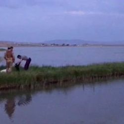 Ağrı'da balık tutmaya çalışan iki kardeşten biri boğuldu