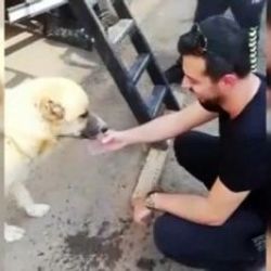 Polis susayan köpeğe su içirdi