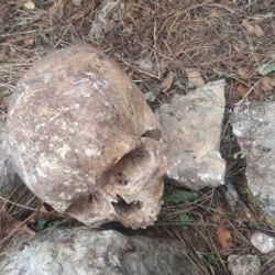 Mersin'de kafatası ve kemik bulundu