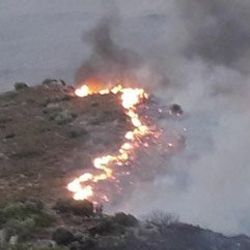 Datça'da makilik alanda yeniden yangın çıktı