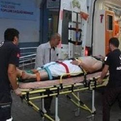 Bahçede ayının saldırdığı şahsı köpeği kurtardı
