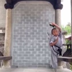Küçük çocuğun muhteşem Kung Fu şovu
