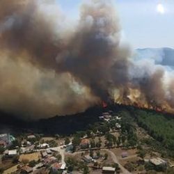 Yanan ormanlar imara açılmayacak